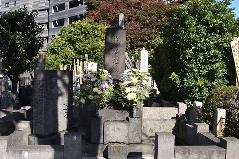 日本大学歯学部同窓会 発信情報一覧